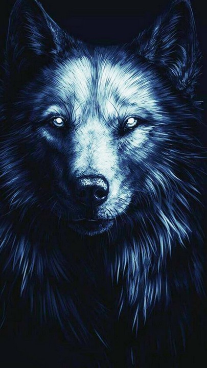 old alpha wolf wallpaper